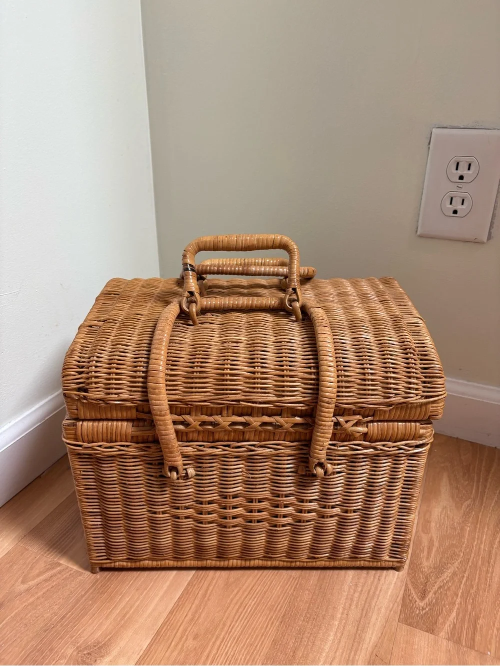 Woven Rattan Picnic Basket with Light Blue Tableware for 2